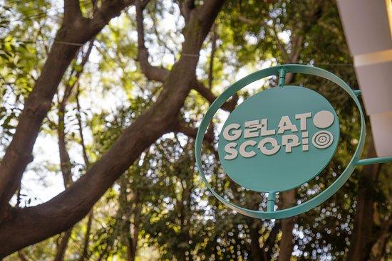 Gelatoscopio